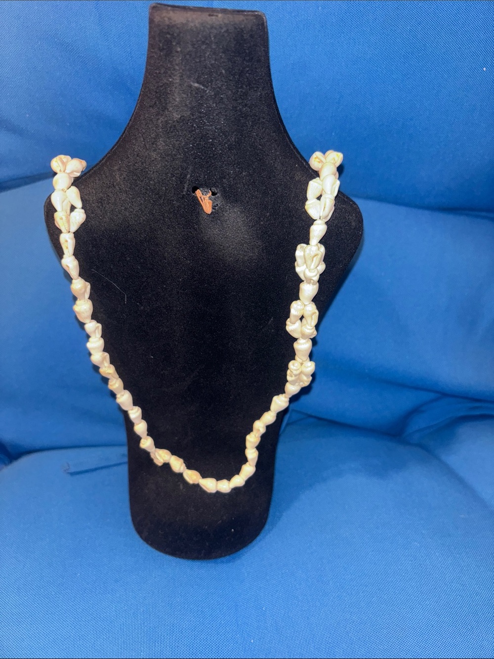 Sea Shell Necklace Colored White Gently Worn NWOTS - Picture 2 of 5